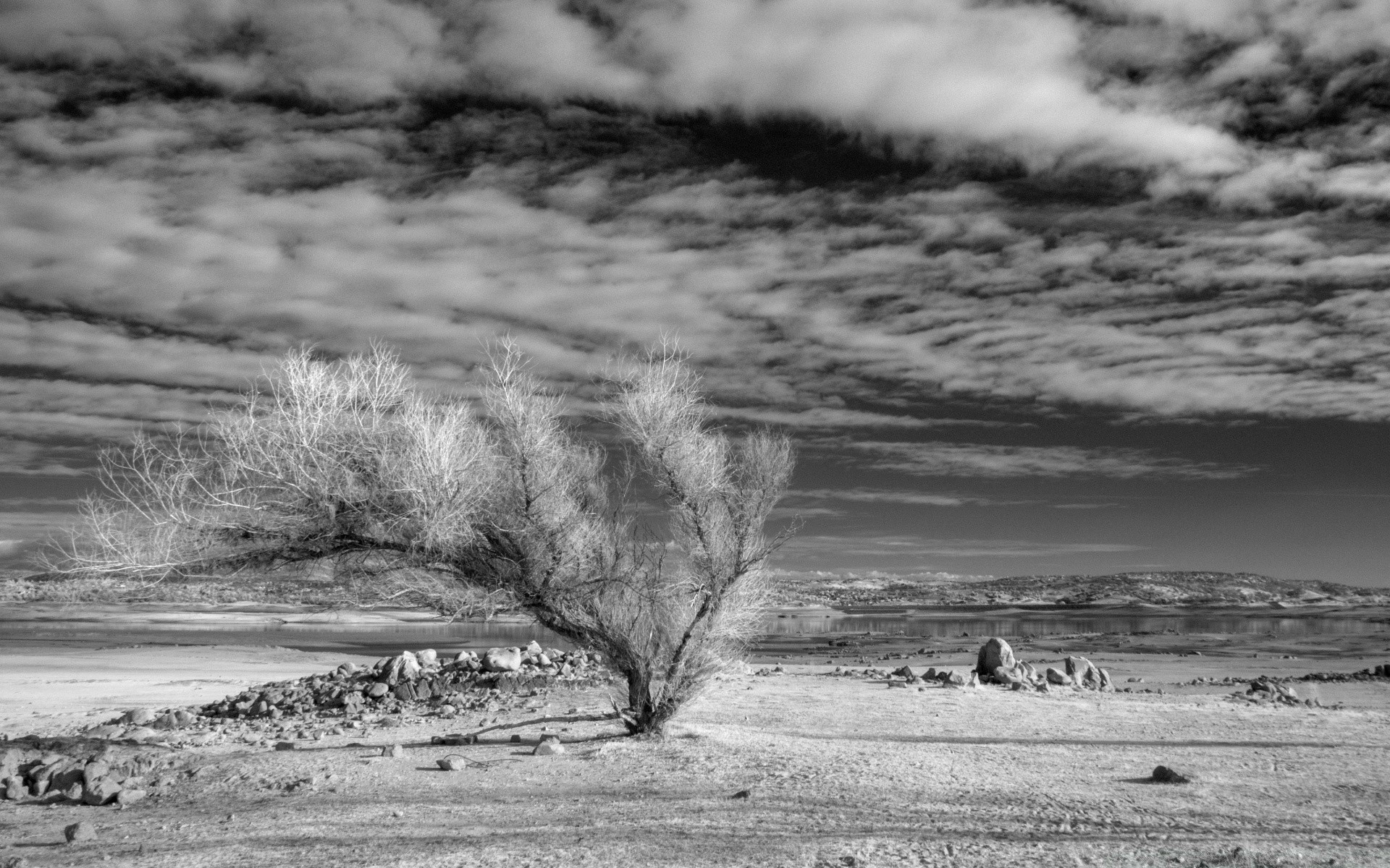 black and white landscape water monochrome winter nature storm
