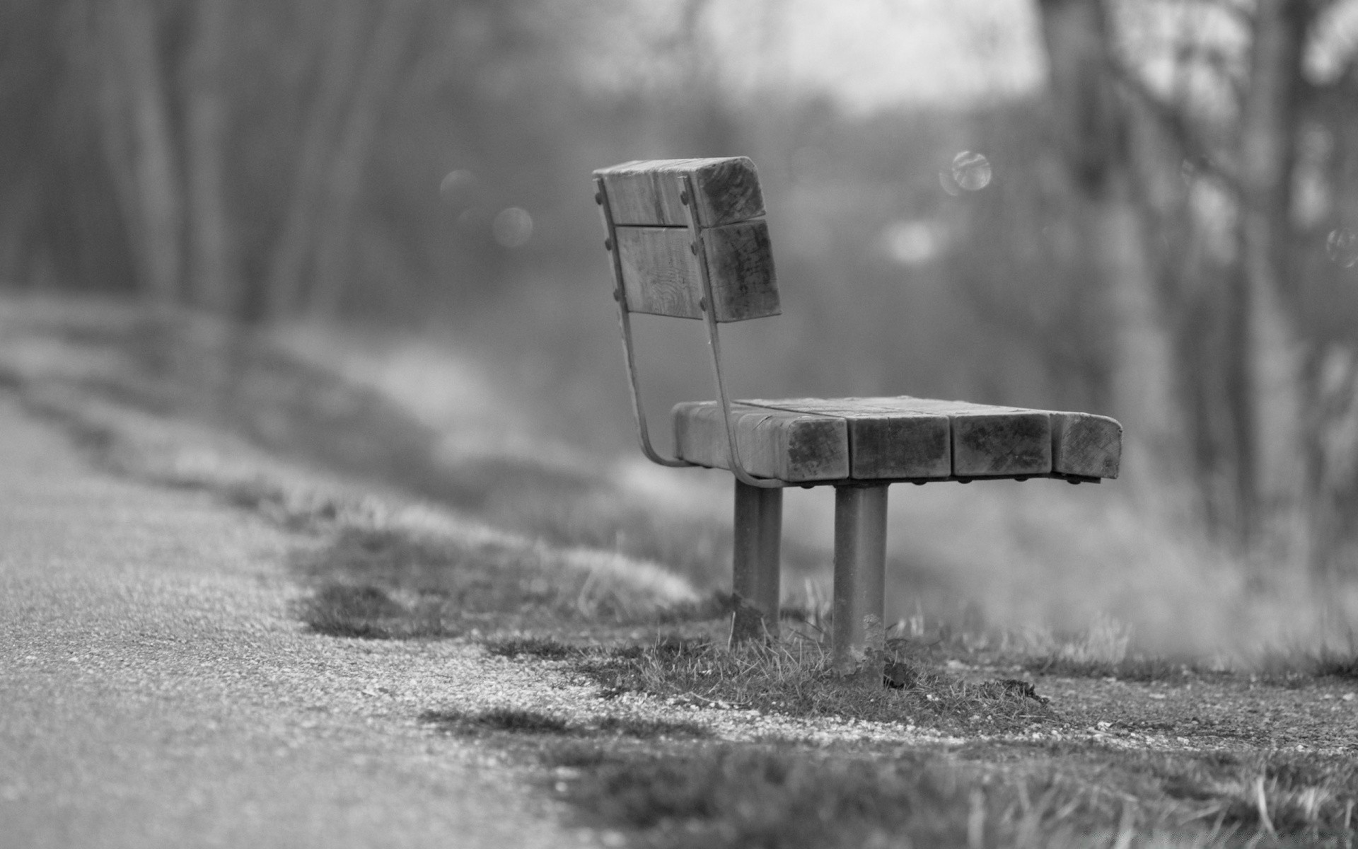 black and white monochrome street wood road bench empty guidance one park outdoors tree