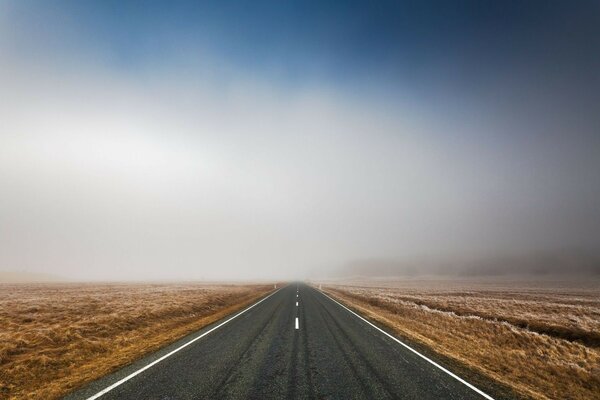 Nature field Track Landscape Road asphalt morning