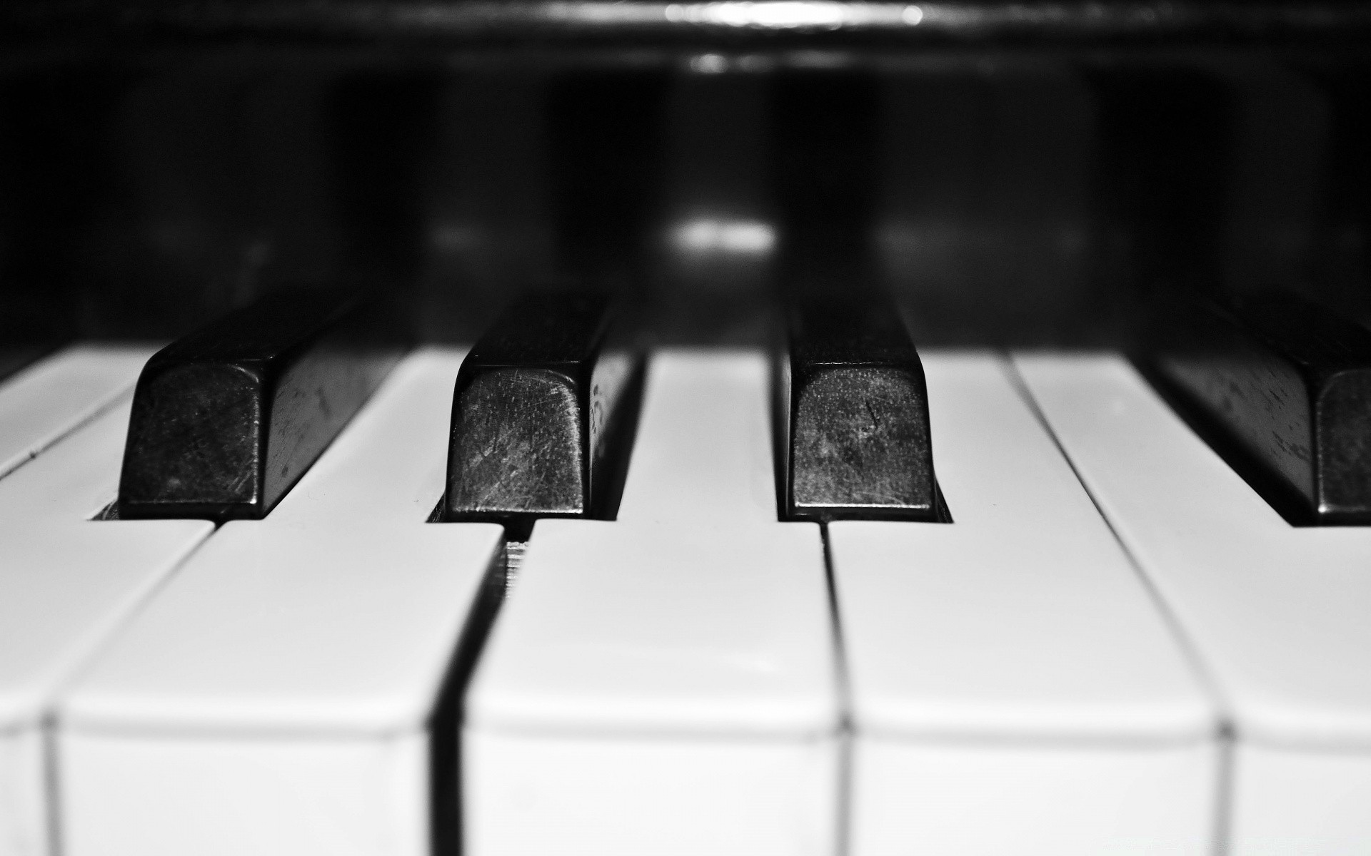 black and white piano ivory ebony instrument sound synthesizer key harmony chord jazz pianist rhythm music keyboard song acoustic classic concert play