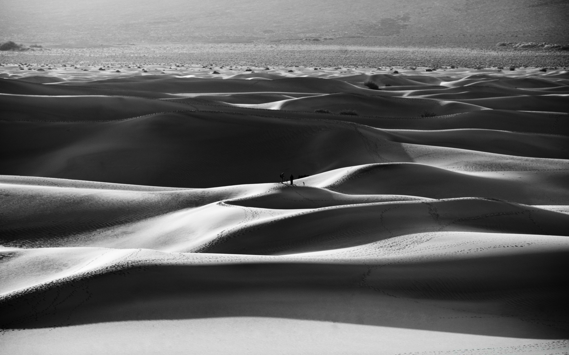 black and white beach sand seashore sea monochrome ocean landscape water wave desert dune travel shadow seascape