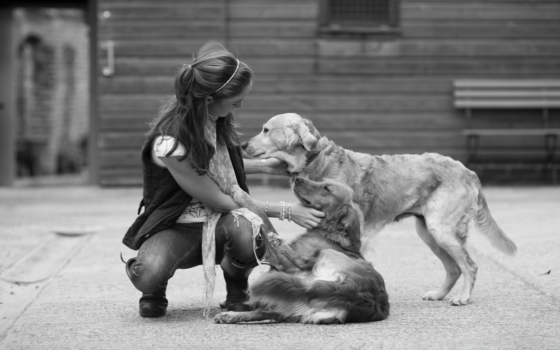 black and white dog adult canine one child monochrome street two woman mammal portrait