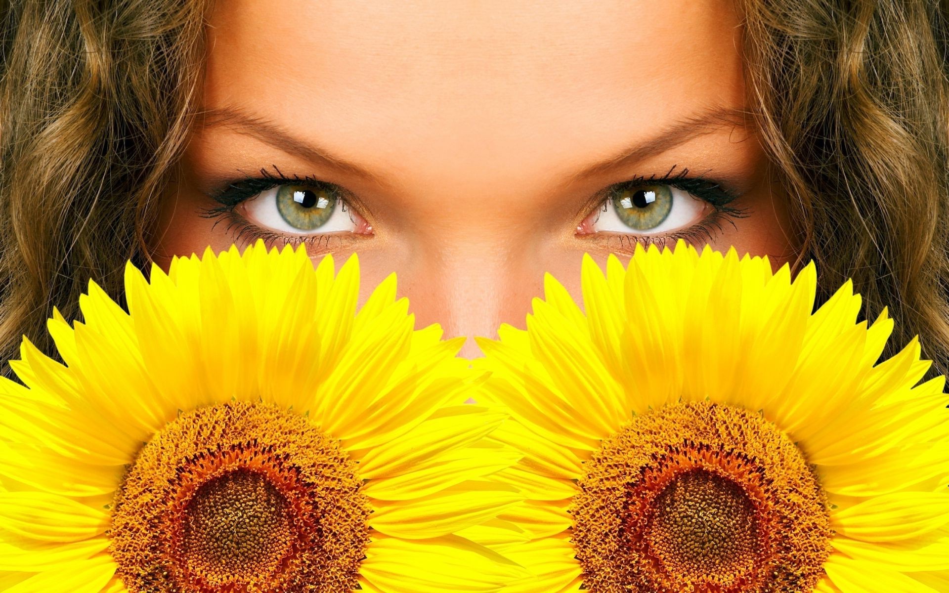 face and smile beautiful nature sunflower flower pretty bright summer color flora