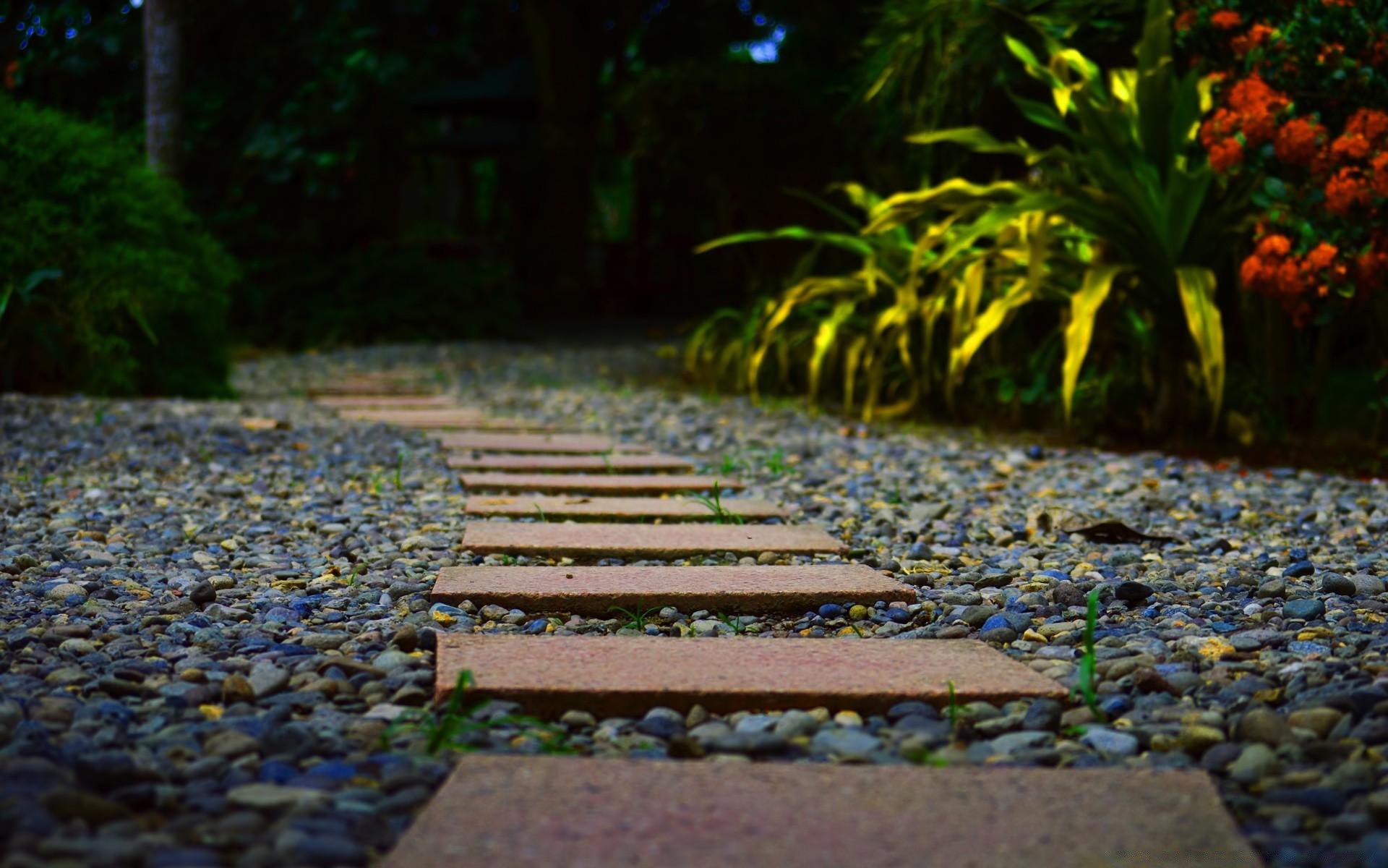 house and comfort wood garden park leaf nature tree footpath outdoors bench flower fall water landscape guidance light color flora summer stone