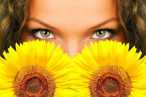 Eyes peeking out from under two sunflowers. The look behind the sunflowers