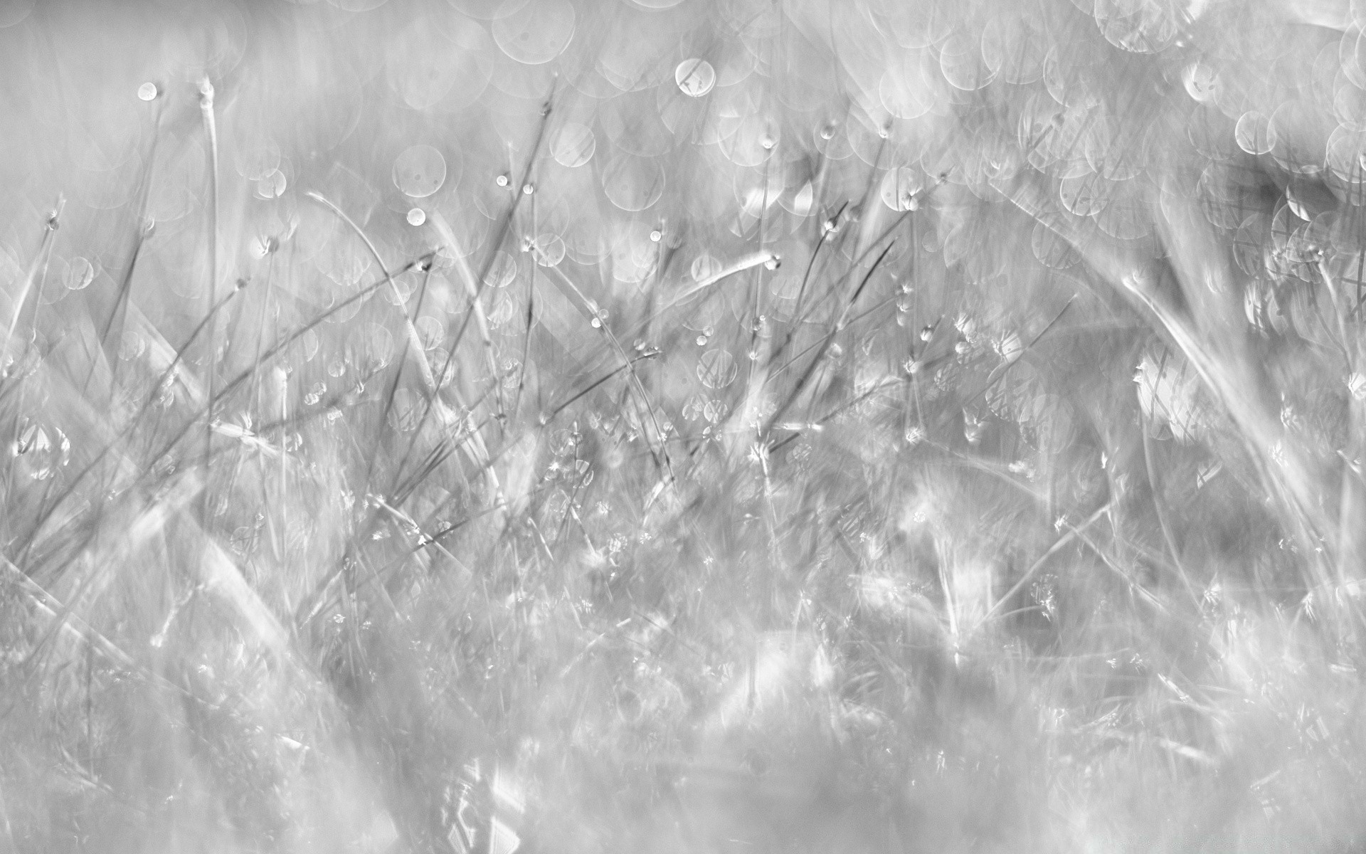 black and white abstract desktop nature light texture shining snow design pattern bright wallpaper winter color art background
