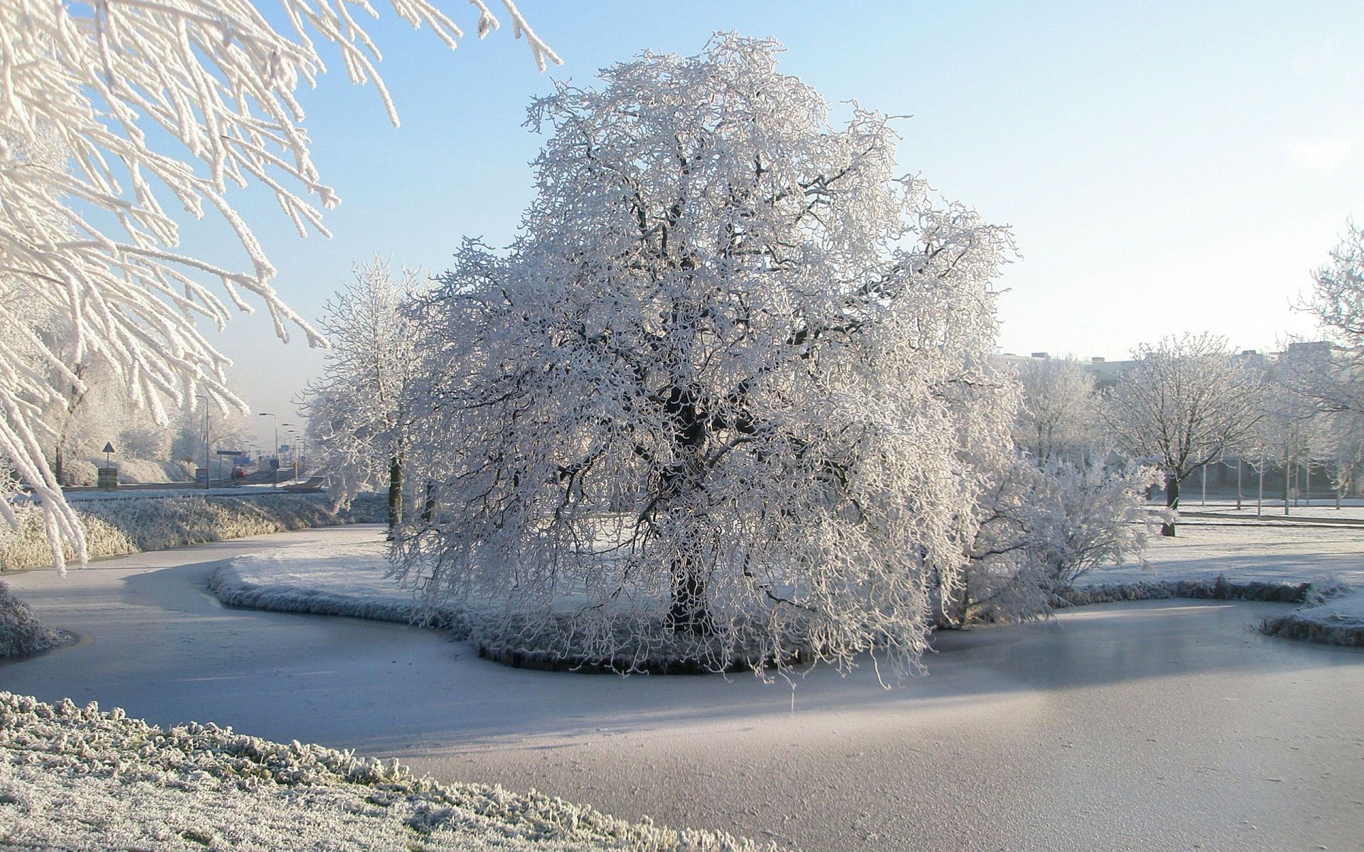 rivers ponds and streams snow winter frost ice cold frozen tree landscape nature wood frosty road weather season fog snow-white fair weather guidance countryside