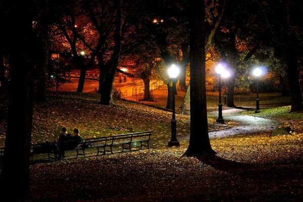 Park in the light of lanterns and a bench
