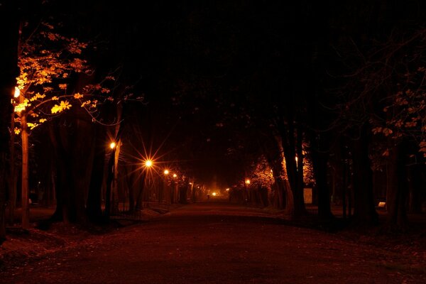 A lonely silhouette in the distance of a night park