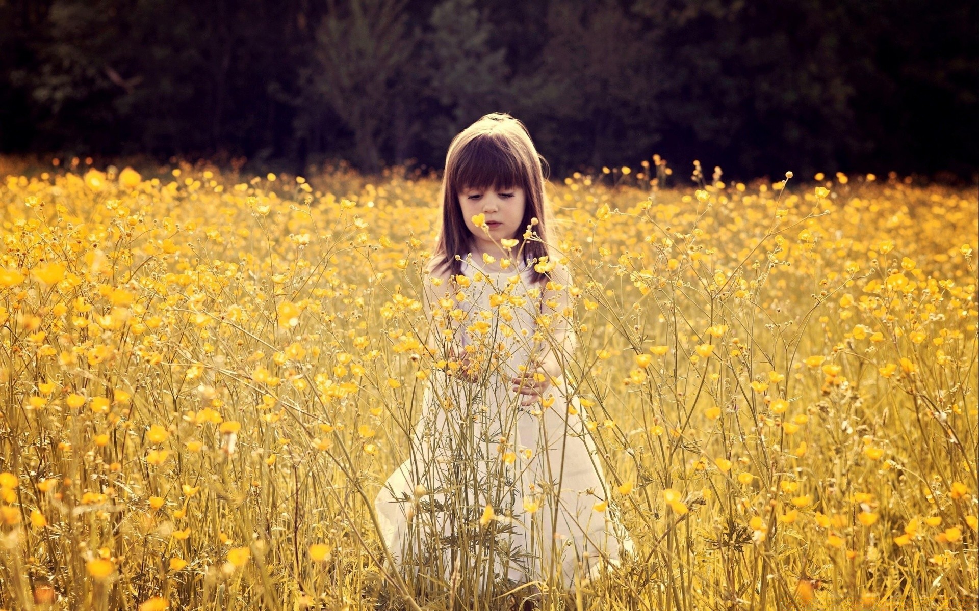 children nature field outdoors grass hayfield countryside fair weather rural summer flower fall season landscape park sun flora