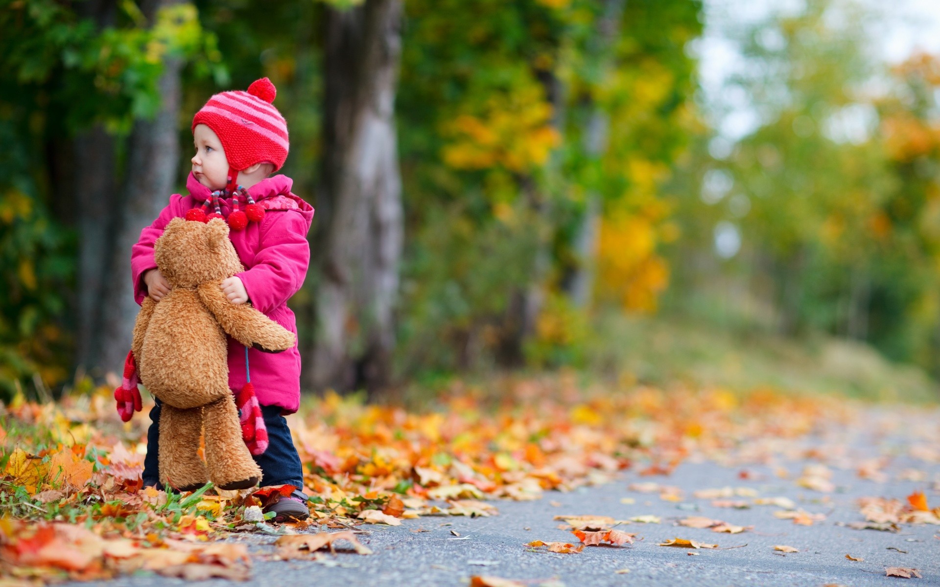 children fall leaf nature park outdoors girl maple tree wood