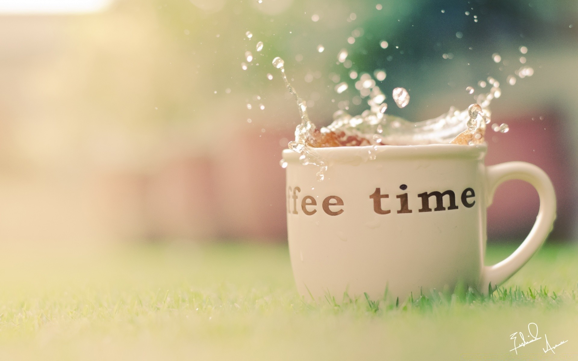 drinks dawn drink coffee cup breakfast hot nature