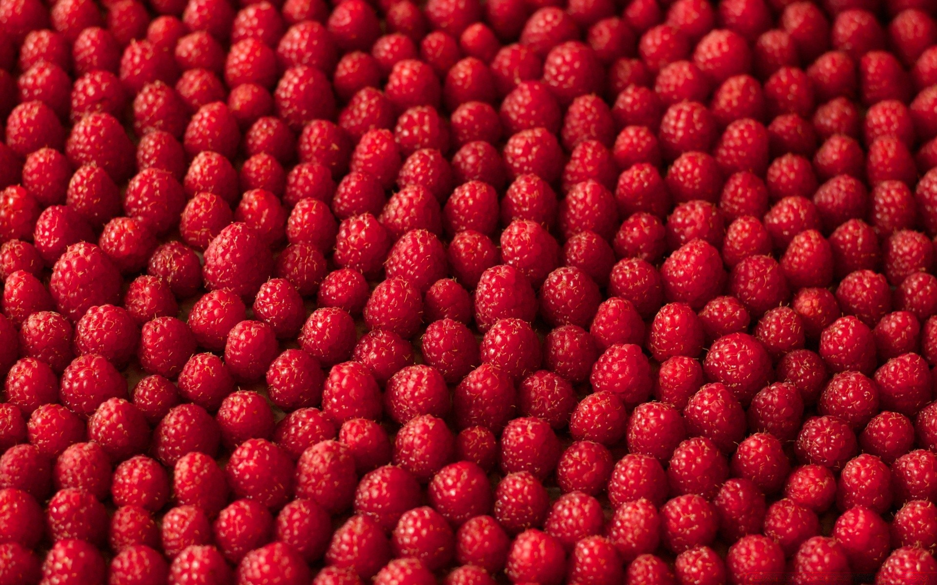food & drink food fruit berry healthy juicy raspberry sweet refreshment delicious freshness desktop diet confection batch tasty close-up grow