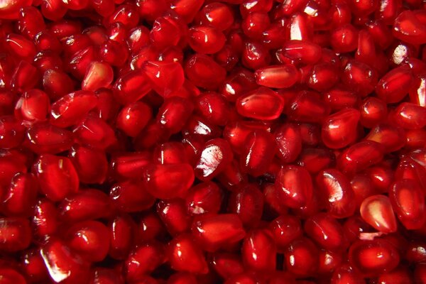 Lots of red pomegranate seeds