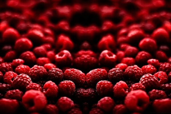 Sweet delicious raspberries