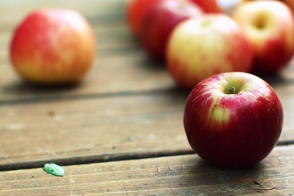 A scattering of red autumn apples on the table