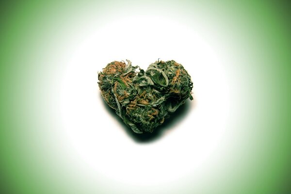 Heart decorated with grass on a green background