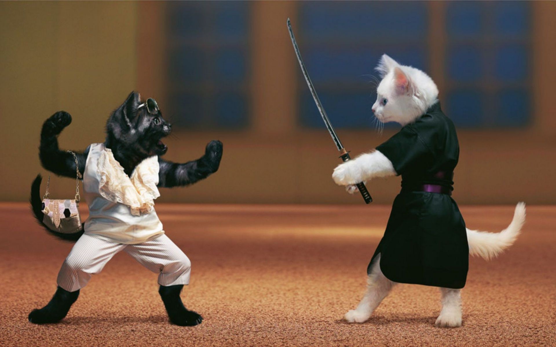 animals competition adult wear motion one athlete outfit man uniform stadium