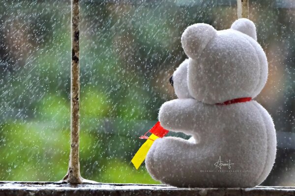 Winter. Teddy bear. Love. Sadness