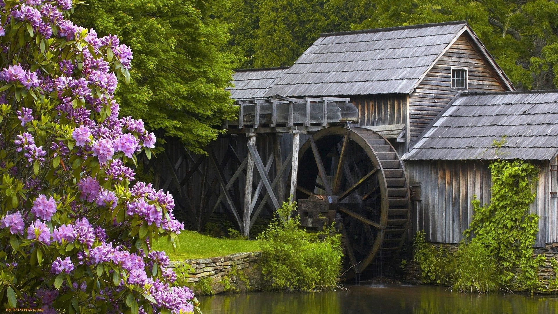 landscapes wood outdoors tree nature summer water building house