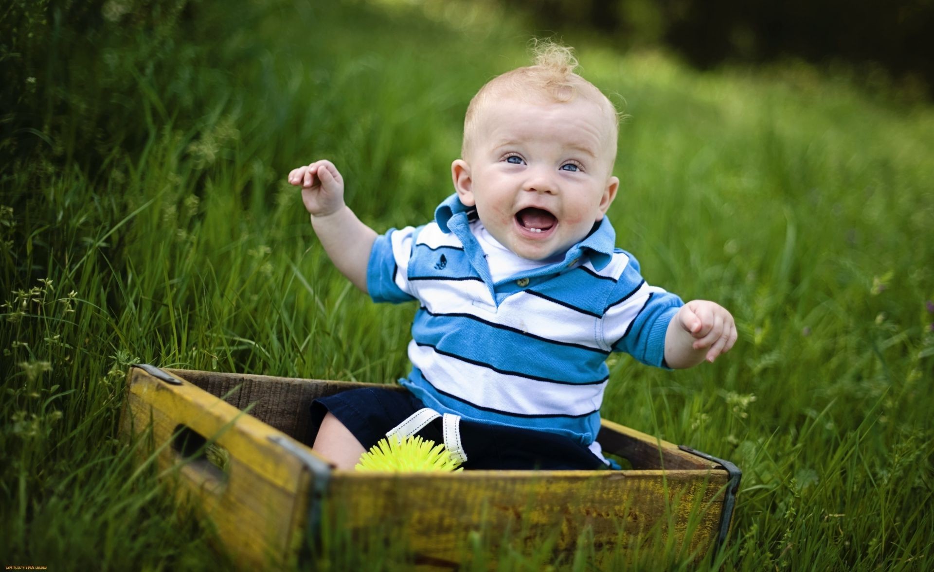 laughing children child grass little cute fun nature outdoors summer leisure joy park sit hayfield baby enjoyment