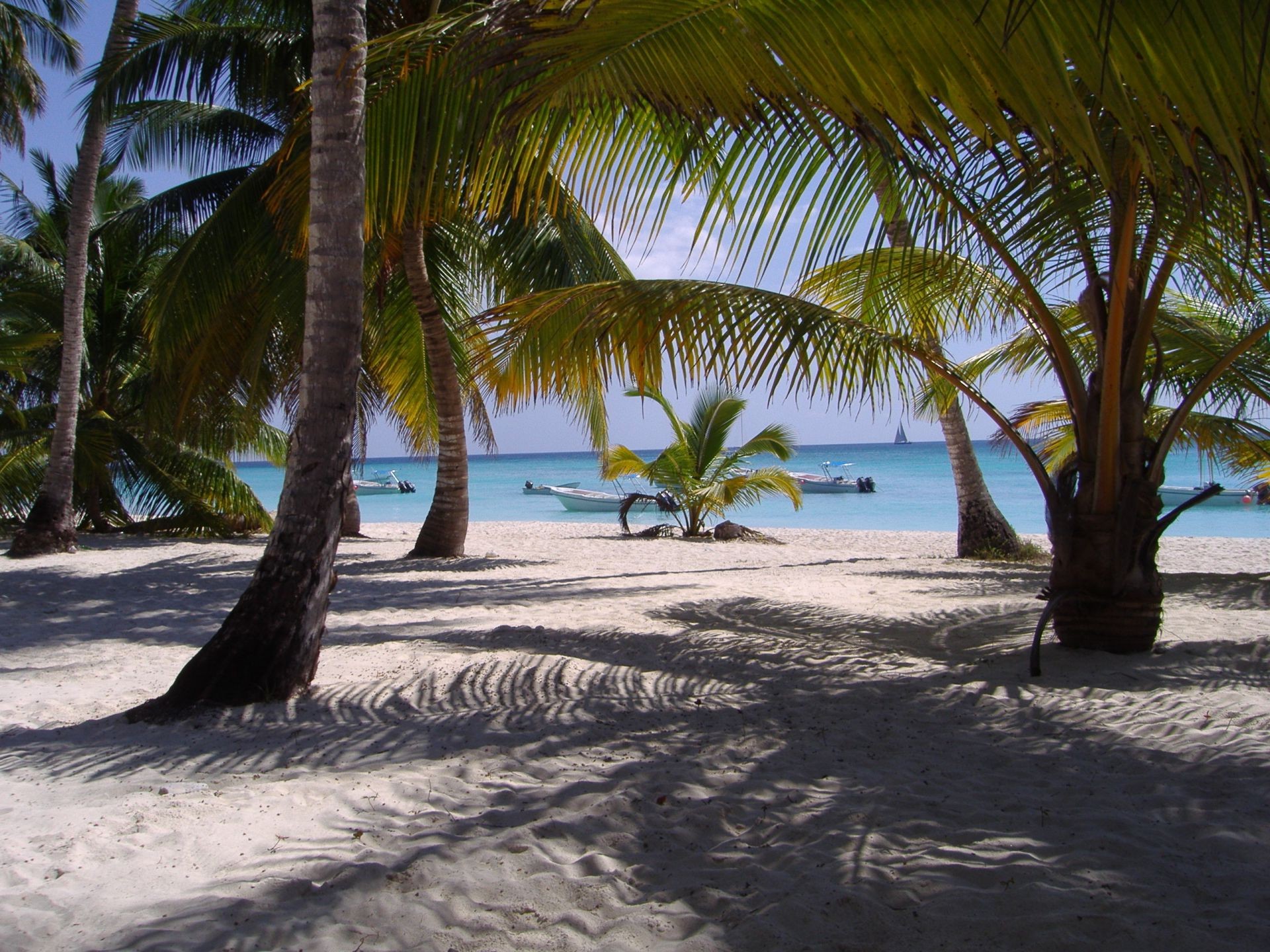 sea and ocean beach sand tropical seashore ocean palm island vacation water travel relaxation sun resort summer seascape exotic sea paradise idyllic