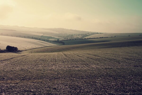 Beautiful fields near the sea