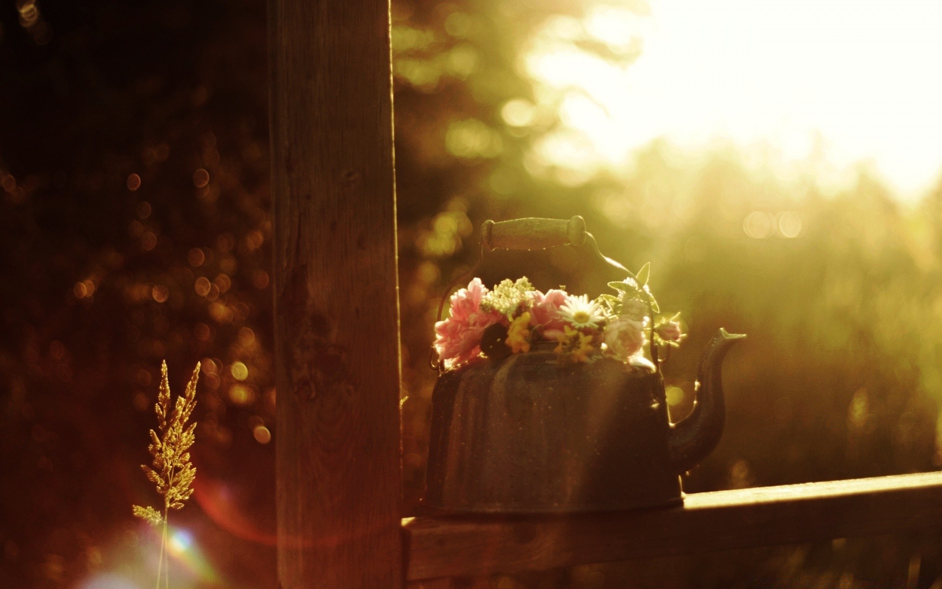 vintage blur wood flower light wedding