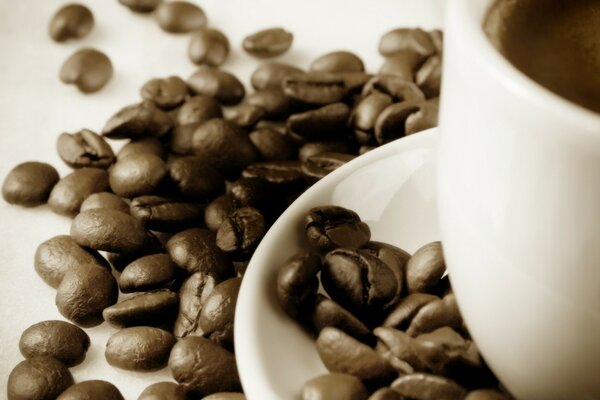 Coffee beans are scattered on the table