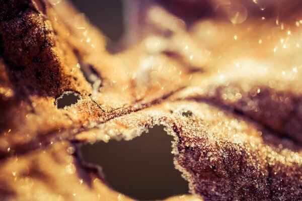 Macro photography of a piece of cake in the section