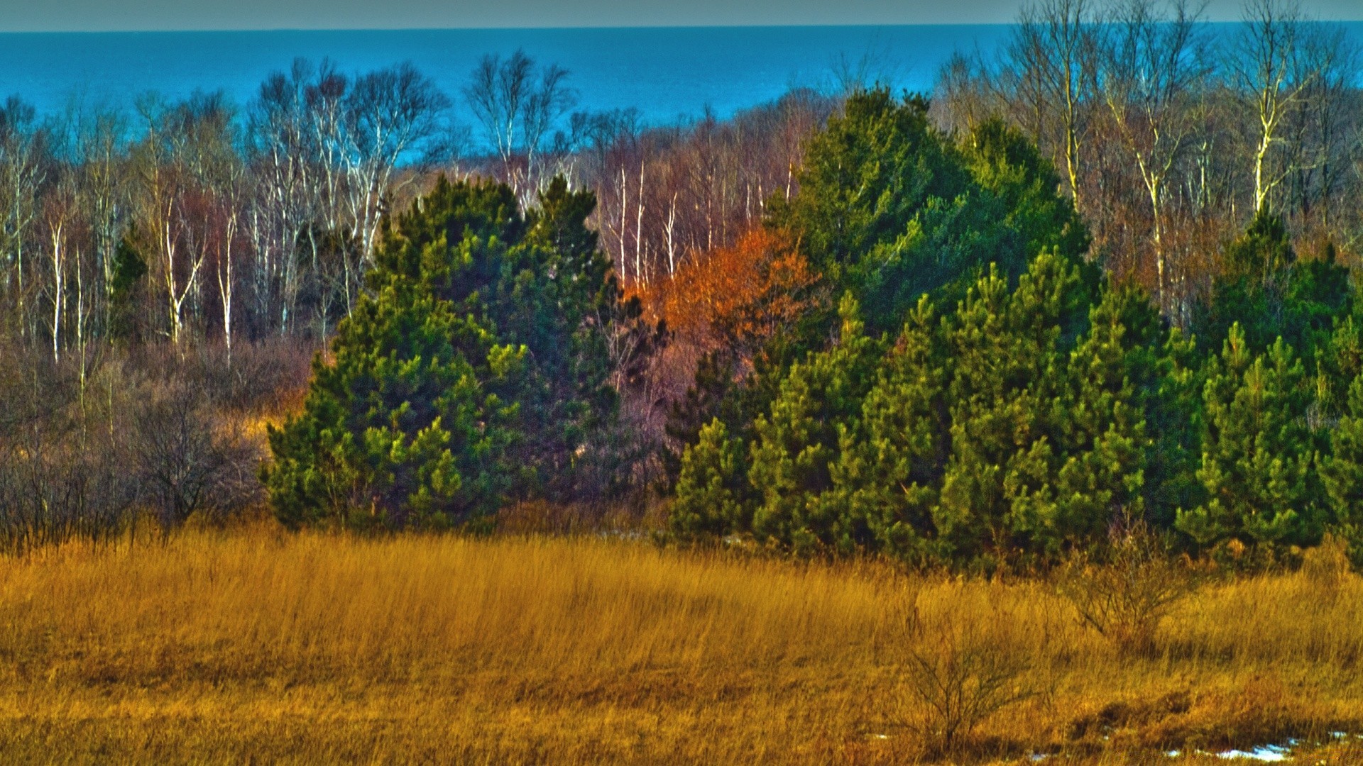 vintage landscape tree nature wood sky scenic outdoors dawn sunset fall travel evening light hill sight field beautiful grass hayfield