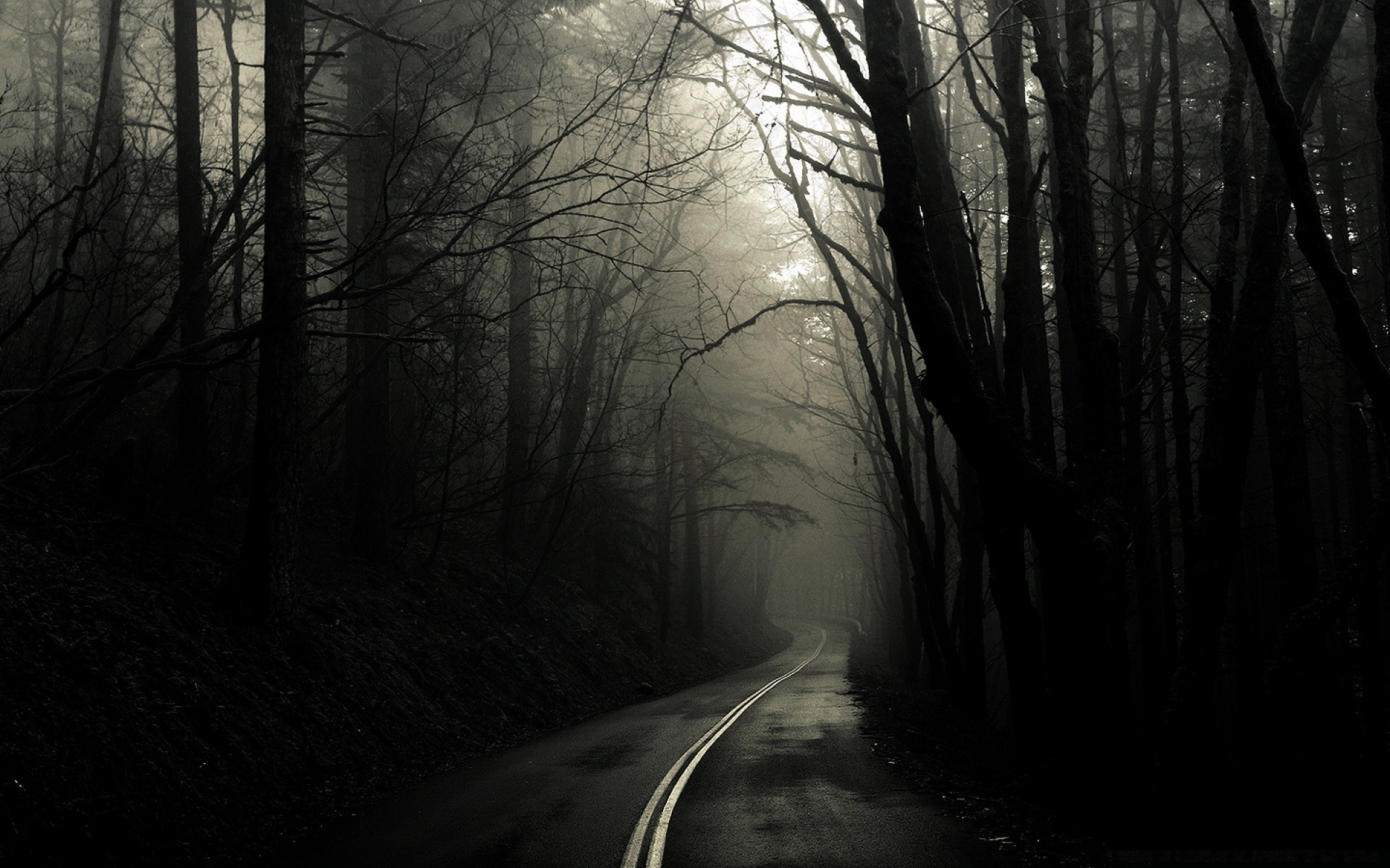 black fog mist tree winter wood landscape fall dark snow road light dawn eerie shadow backlit monochrome mystery moody cold