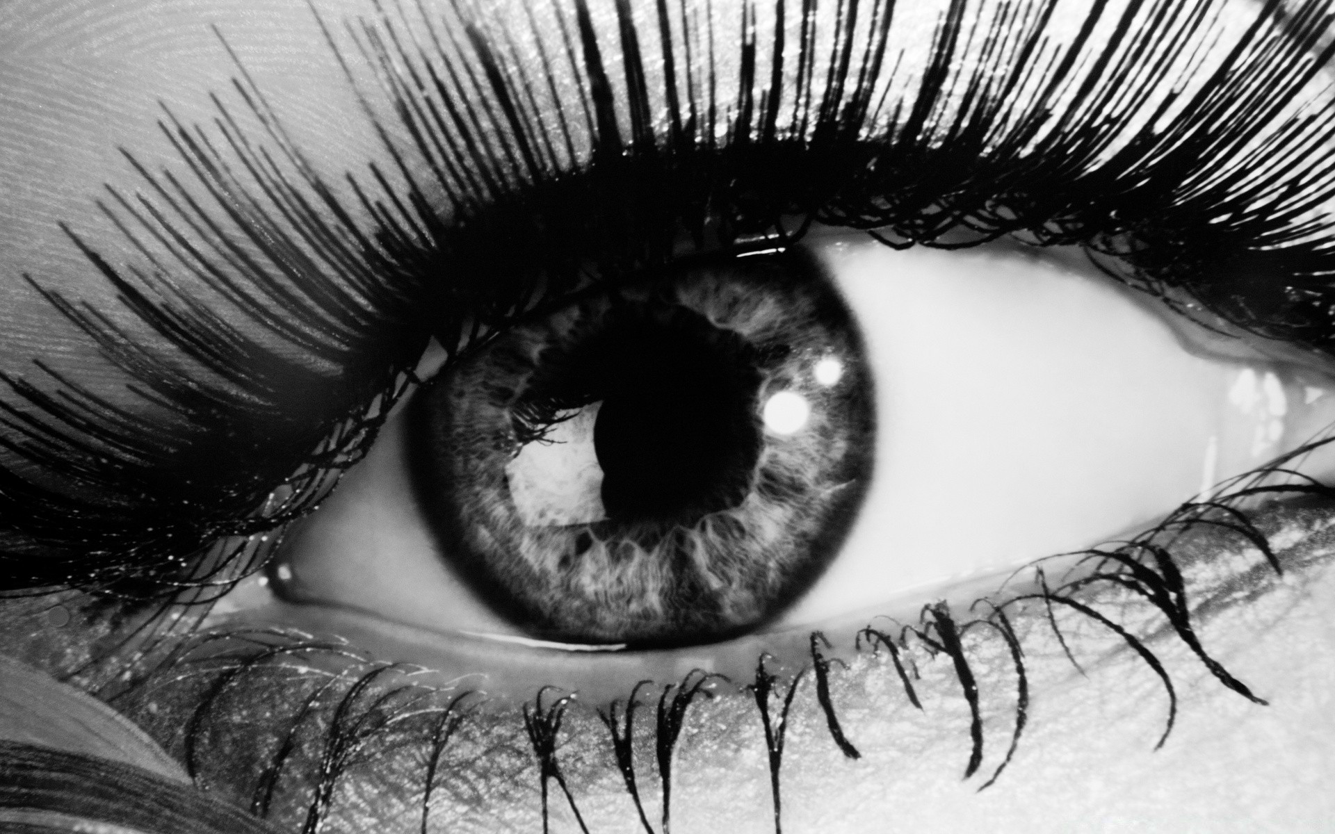 black and white woman fashion monochrome glamour portrait eyelash girl mascara face sexy skin lips eye hair adult one art model artistic