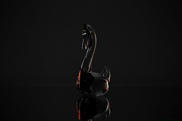 Black swan on a dark desktop