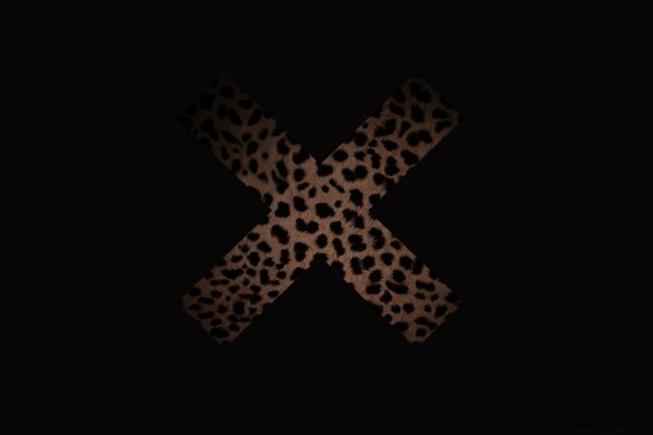 Leopard cross on a black picture