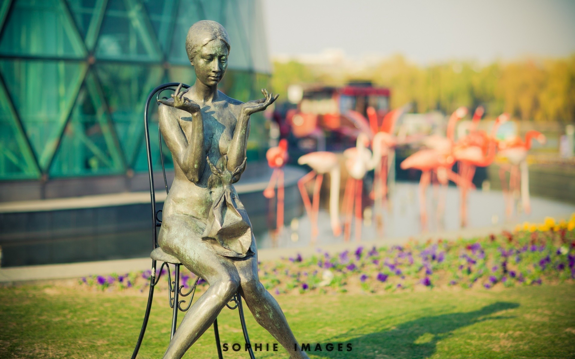 bokeh adult outdoors man woman