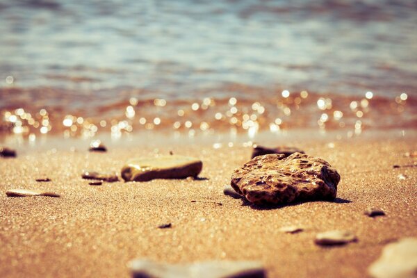 Dreams of the gentle sea and golden sand