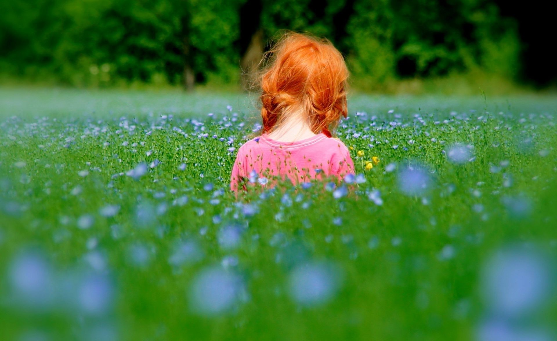 children in nature grass nature summer hayfield outdoors flower little child park