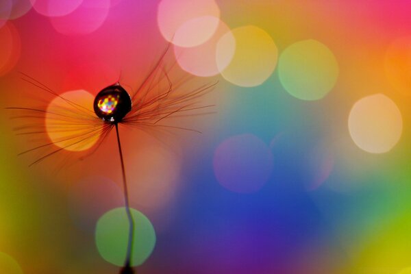 Incomprehensible blurred flower on the background is very brightly colorful