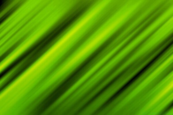 Voluminous green stripes. Sheet