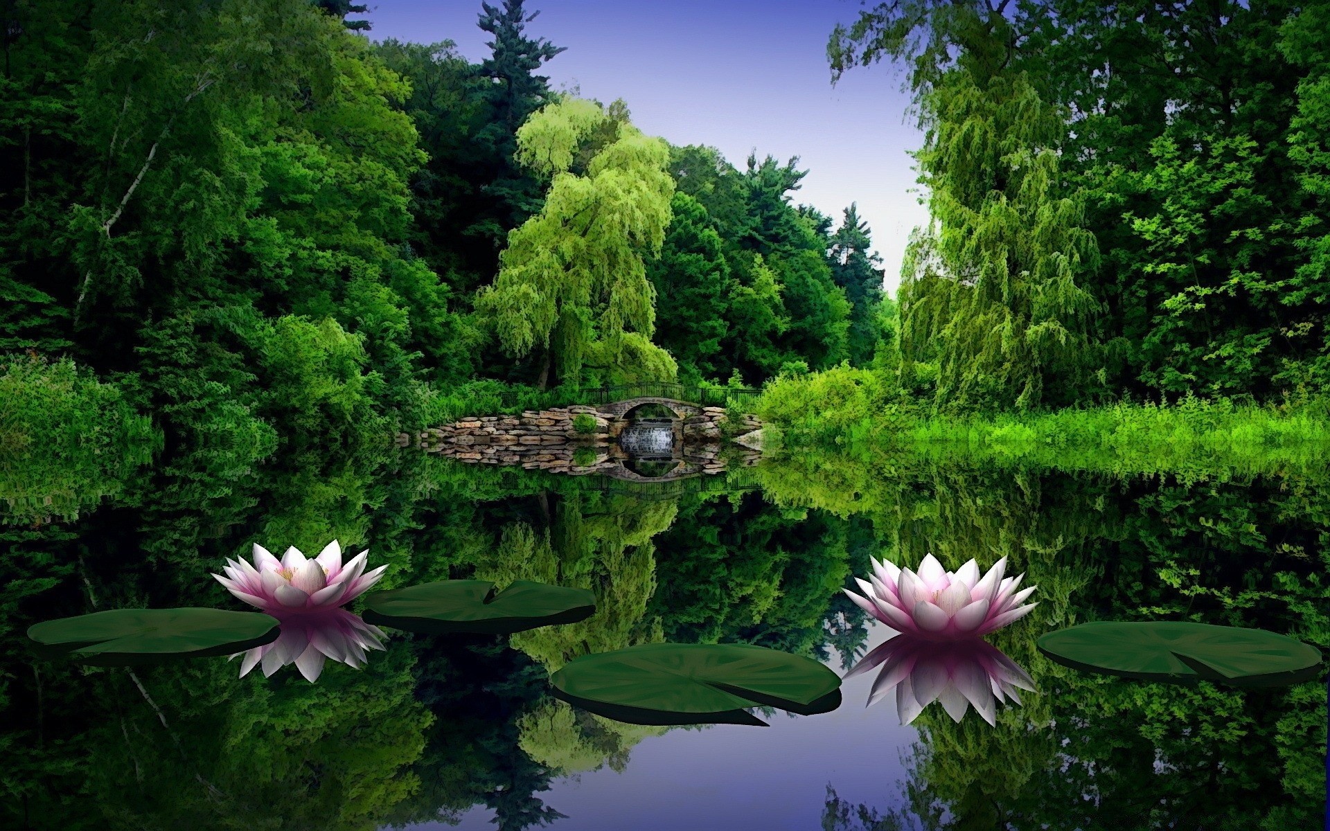 creative nature pool garden flora summer park leaf flower beautiful environment lake landscape season peace water zen tree outdoors