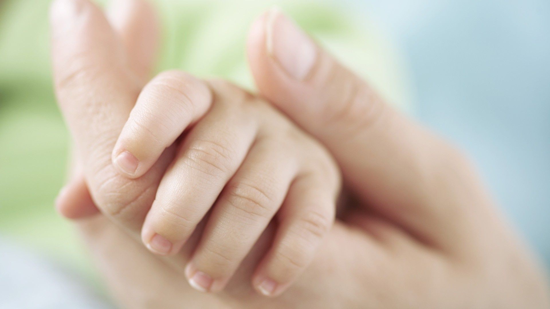macro baby tiny foot skin hand newborn woman touch love little unity support finger trust innocence relaxation child care blur