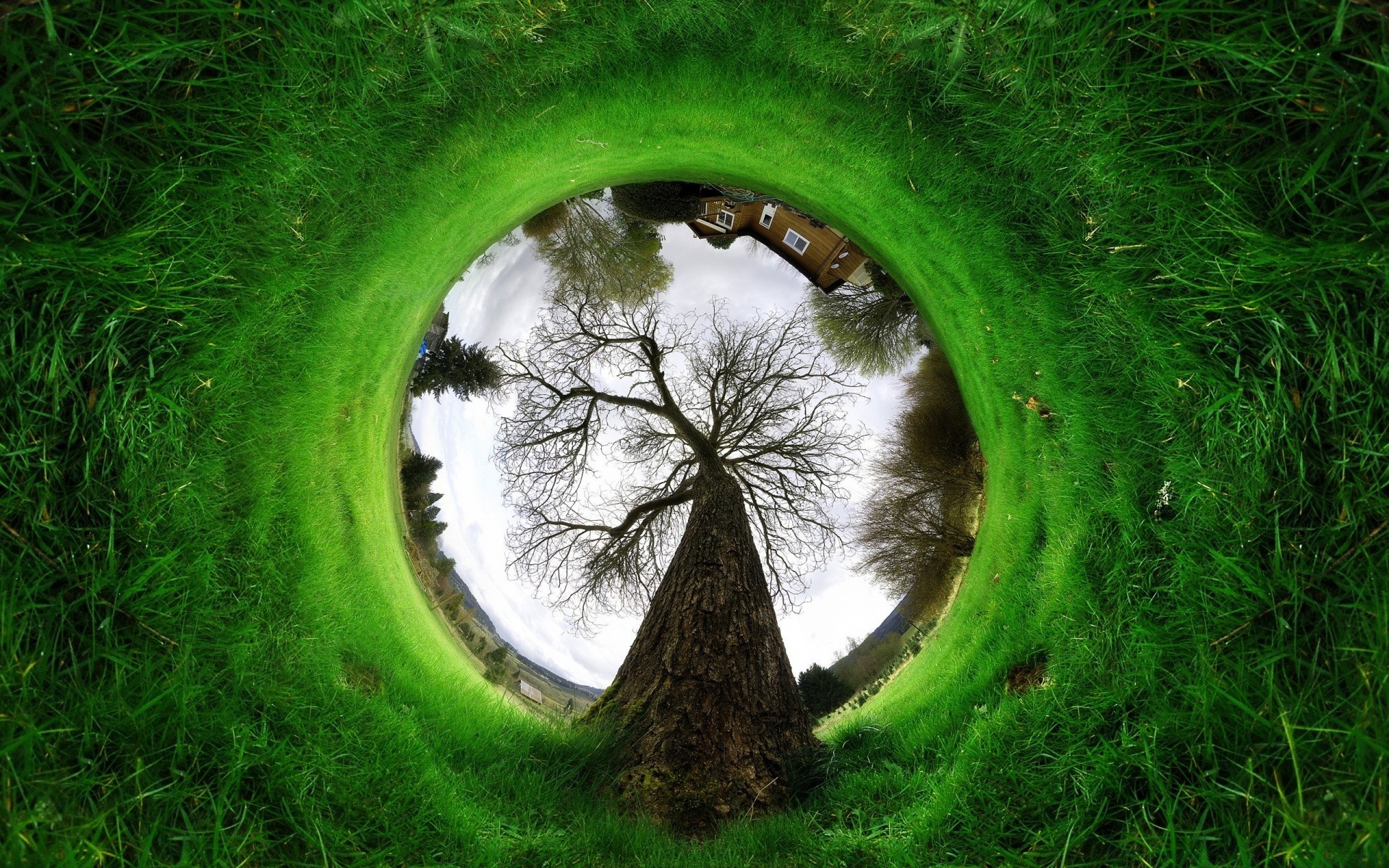 creative grass nature environment lawn landscape ball-shaped ecology outdoors summer leaf sight field park hayfield flora soil