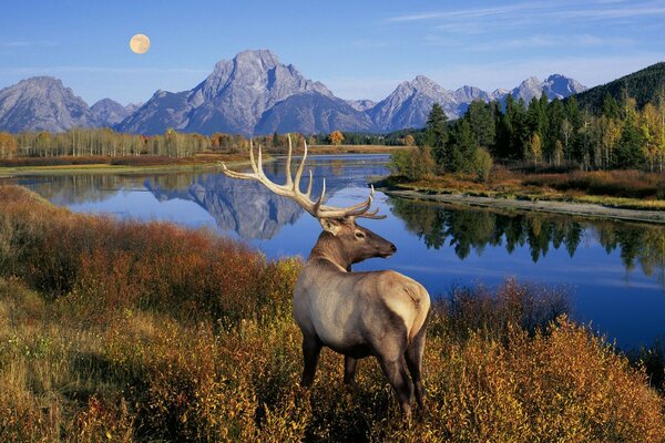 Reflection of mountains in a mountain lake