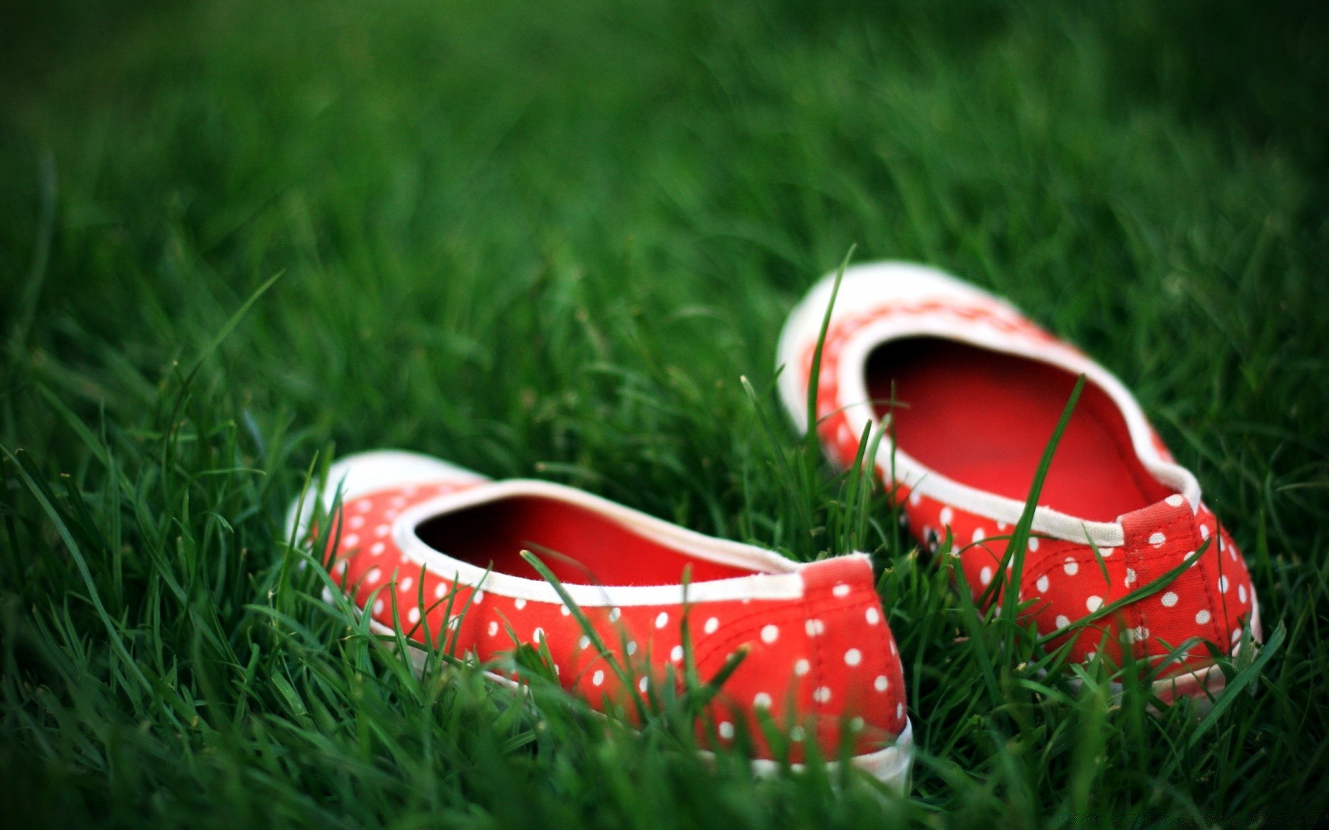 creative grass summer field leather color lawn leisure shoe outdoors two hayfield recreation close-up couple nature