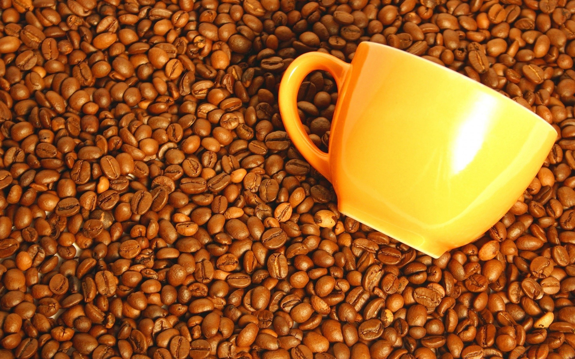 creative coffee seed caffeine cereal bean drink espresso crop dawn breakfast food cappuccino batch dark agriculture mocha mug nutrition perfume