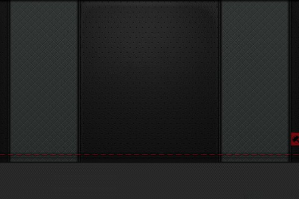 Skin texture with red stitching