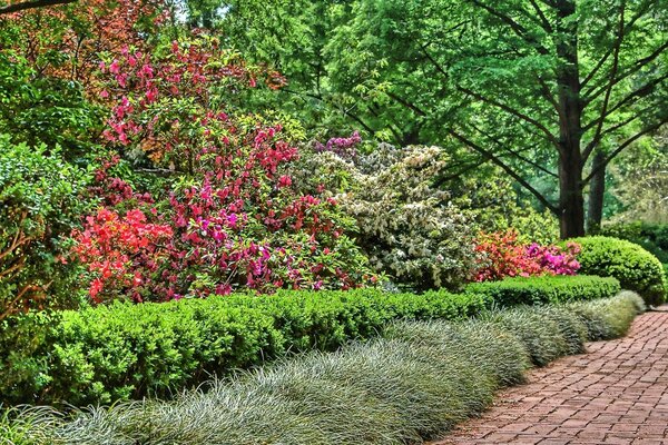 Better flowers of the world beauty