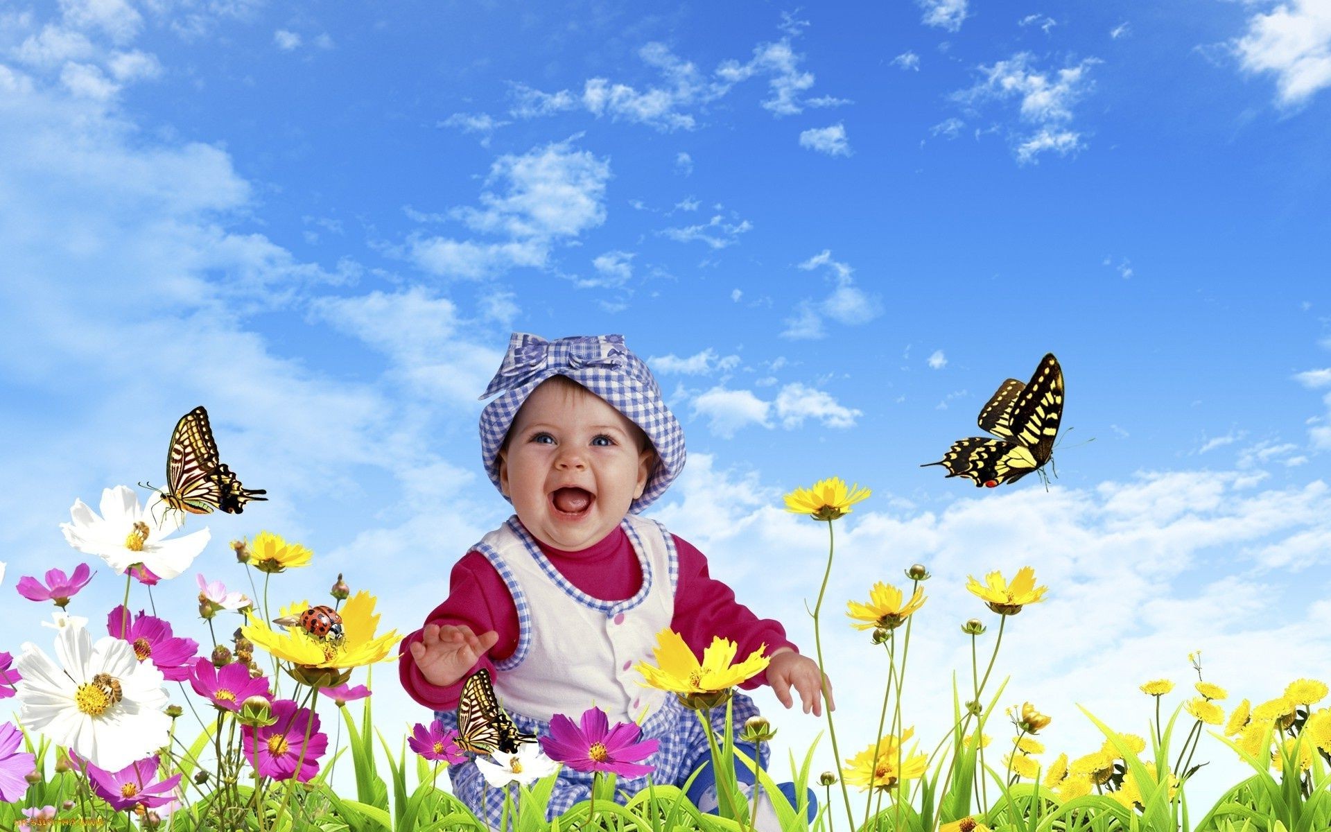 laughing children summer nature flower outdoors child grass hayfield beautiful fair weather little field sky sun