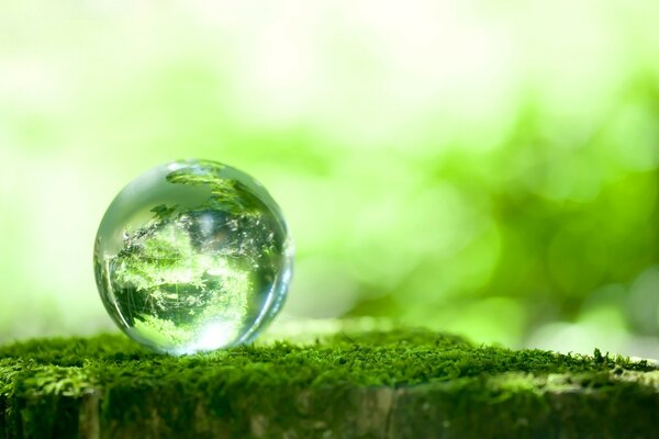 A drop of water. A drop in the form of a planet